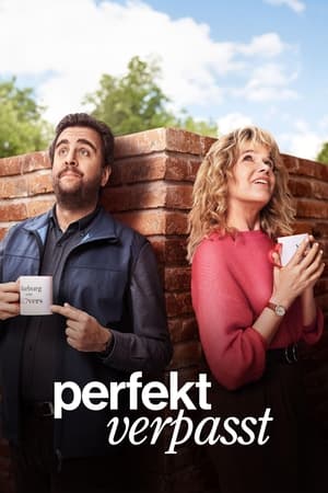 PARFAITEMENT RATÉ - saison 1 poster