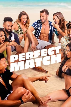 Perfect Match Saison 1 poster