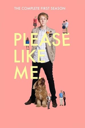 Please Like Me Saison 1 poster