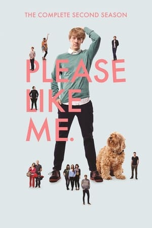 Please Like Me Saison 2 poster