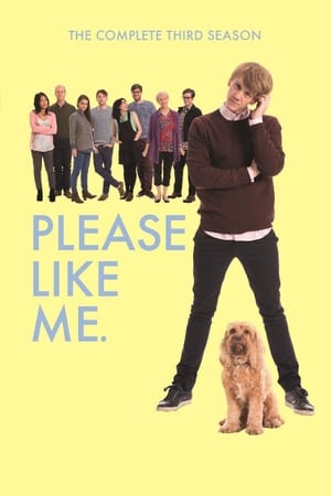 Please Like Me Saison 3 poster