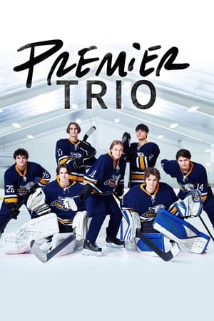 Premier trio - saison 1 poster