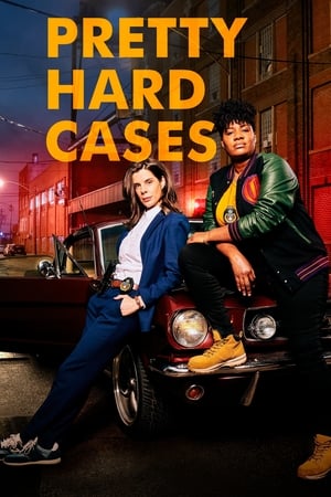 Pretty Hard Cases - saison 1 poster