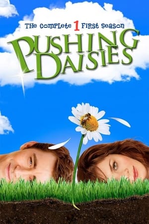 Pushing Daisies Saison 1 poster