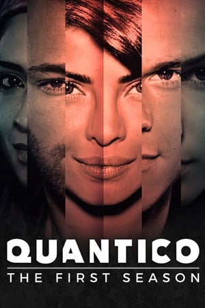 Quantico Saison 1 poster