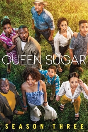 Queen Sugar Saison 3 poster