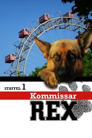 Rex, Chien flic - saison 1 poster