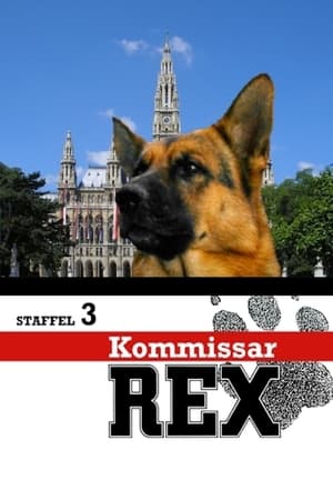 Rex, Chien flic - saison 3 poster