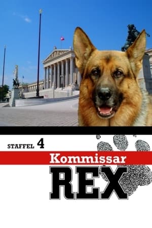 Rex, Chien flic - saison 4 poster