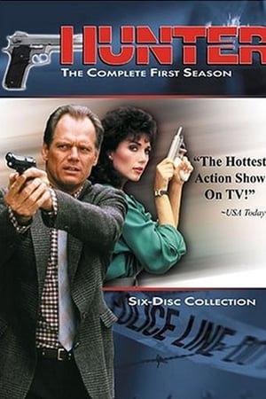 Rick Hunter, inspecteur choc Saison 1 poster