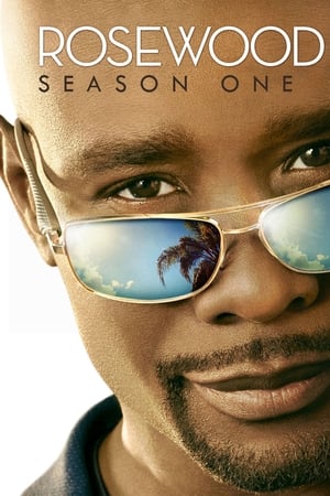 Rosewood Saison 1 poster