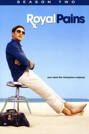 Royal Pains - saison 2 poster