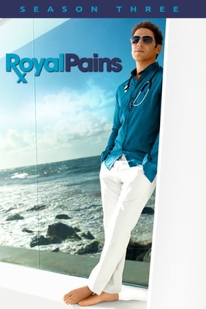 Royal Pains - saison 3 poster