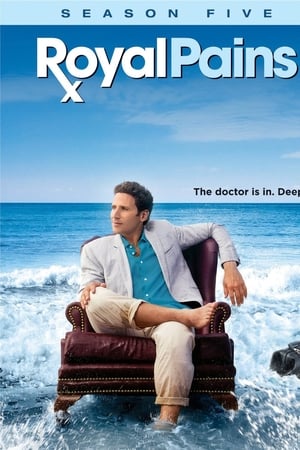 Royal Pains - saison 5 poster