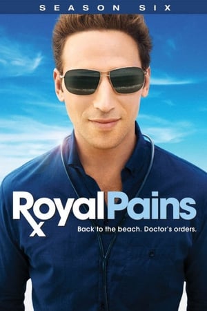 Royal Pains - saison 6 poster