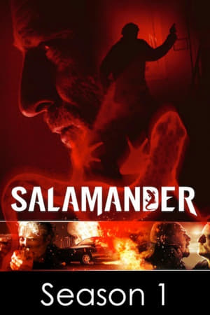 Salamandre - saison 1 poster