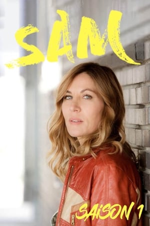 Sam Saison 1 poster