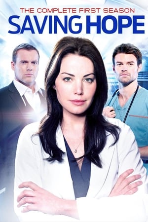 Saving Hope : au-delà de la médecine Saison 1 poster