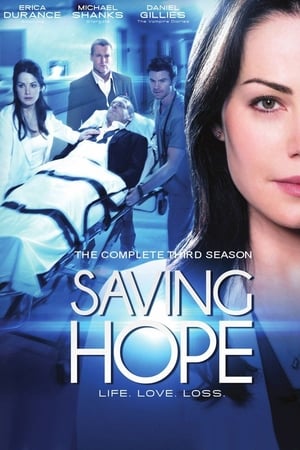 Saving Hope : au-delà de la médecine Saison 3 poster