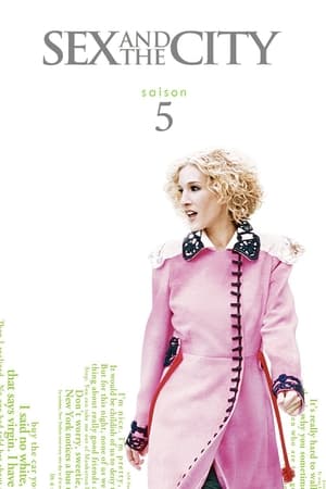 Sex and the City - saison 5 poster