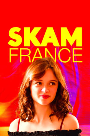 SKAM France Saison 2 poster