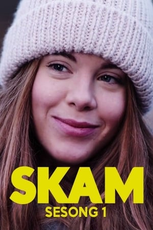 SKAM - saison 1 poster
