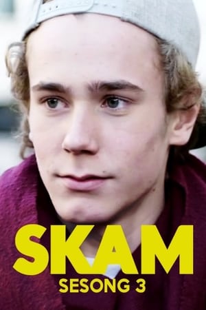 SKAM Saison 3 poster