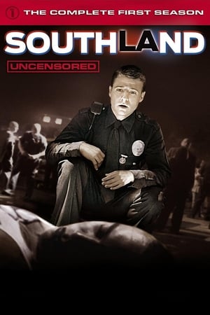 Southland Saison 1 poster