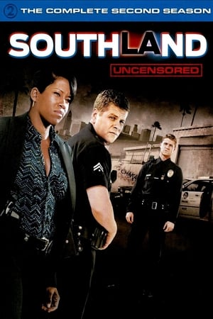 Southland Saison 2 poster