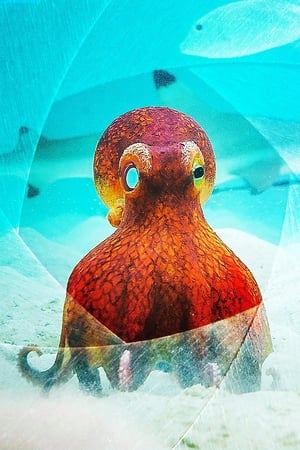 Spy in the Ocean Saison 1 poster