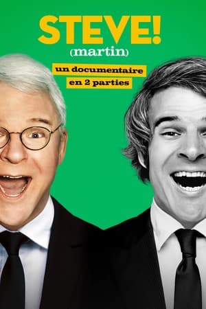 STEVE Martin : un documentaire en 2 parties - saison 1 poster
