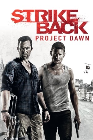 Strike Back Saison 2 poster