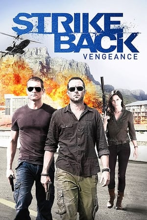 Strike Back Saison 3 poster