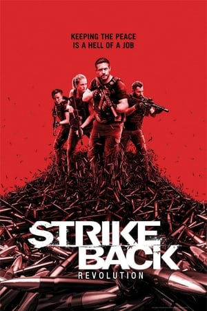 Strike Back - saison 7 poster