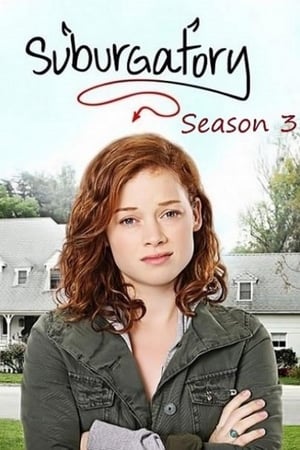 Suburgatory Saison 3 poster