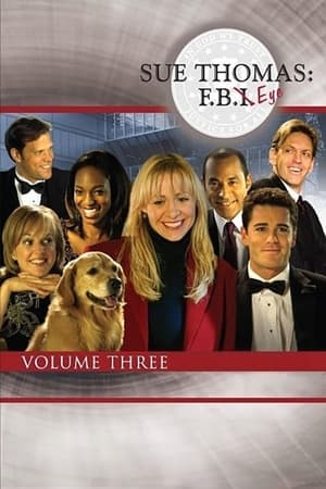 Sue Thomas, l'œil du FBI