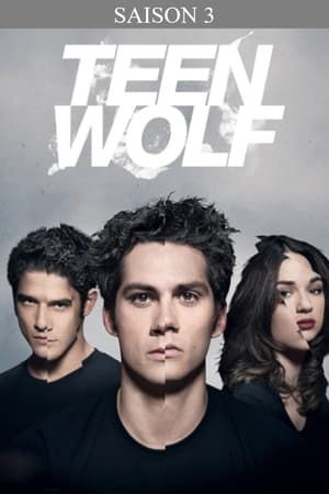 Teen Wolf Saison 3 poster
