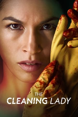 The Cleaning Lady - saison 1 poster