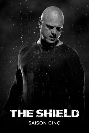 The Shield - saison 5 poster
