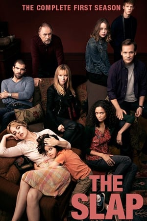 The Slap Saison 1 poster