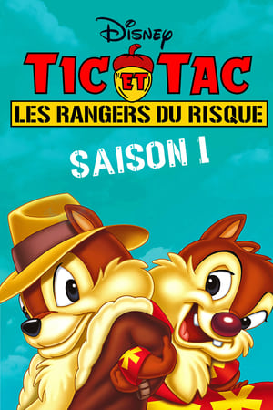 Tic et Tac, les rangers du risque - saison 1 poster