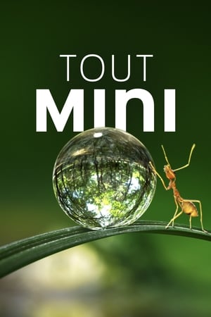 Tiny World Saison 1 poster