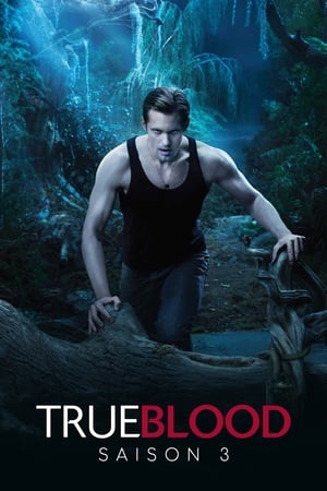 True Blood : de chair et de sang Saison 3 poster