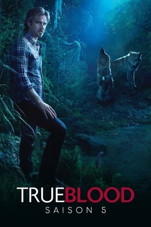 True Blood : de chair et de sang Saison 5 poster