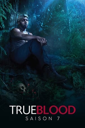True Blood : de chair et de sang