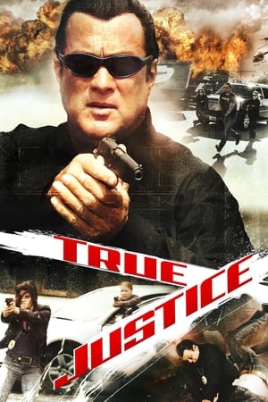 True Justice Saison 1 poster