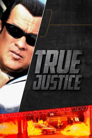 True Justice Saison 2 poster