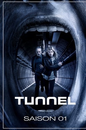 Tunnel - saison 1 poster