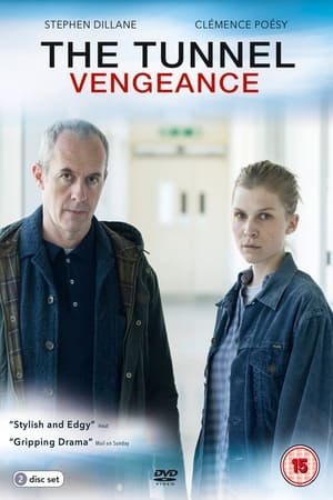 Tunnel - saison 3 poster