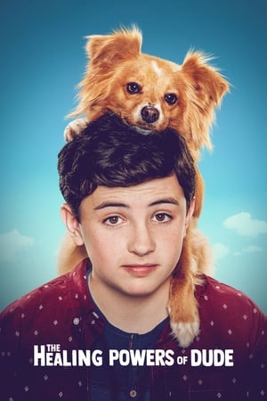 Un ami aux petits soins - saison 1 poster